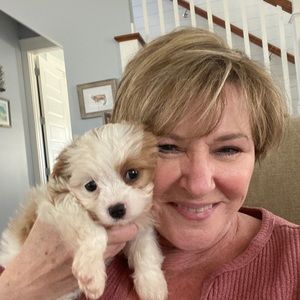 Meet your Posher, Donna